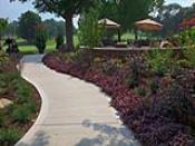 Concrete Walkway with Decorative Landscaping